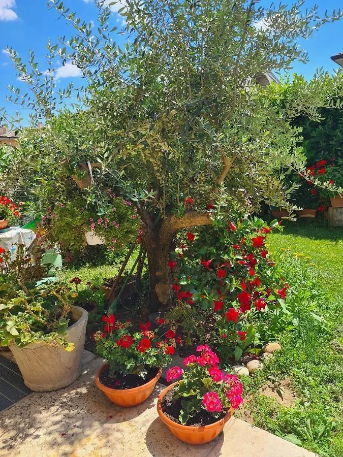 Casa Andre Apartment Pescantina 0*,  Italy